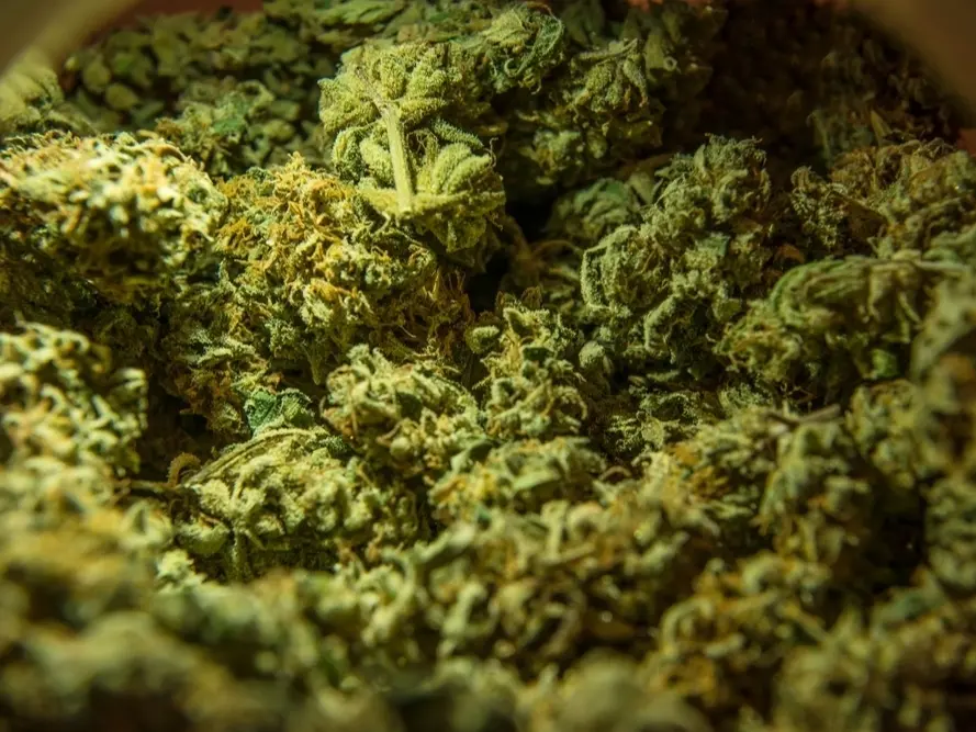 Weed in Bergen Navigating Norway’s Cannabis Landscape designs