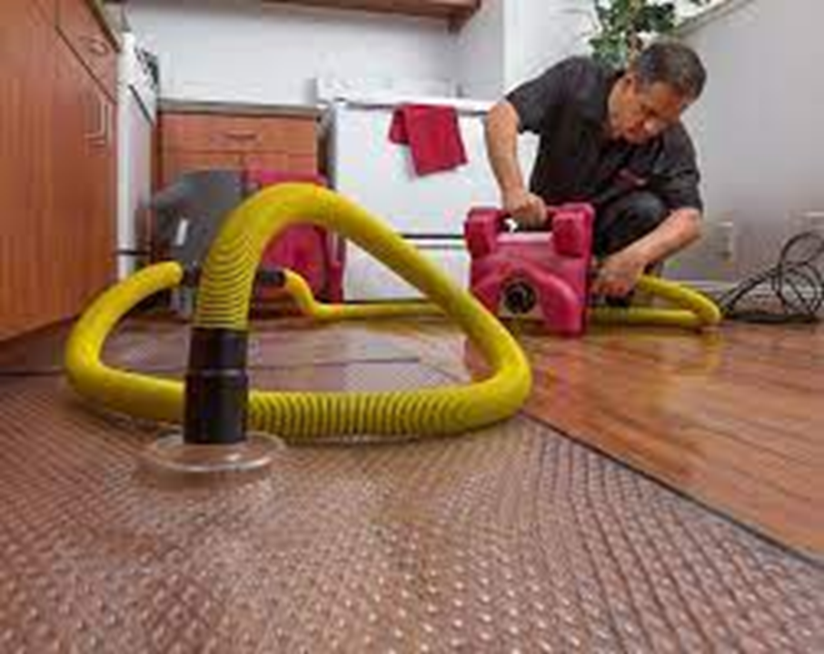 Beyond the Shadows: Unraveling the Art and Science of Biohazard Cleanup in Stevens Point, WI