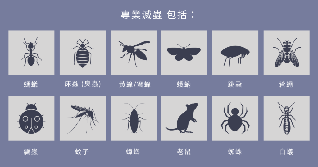 Take care of Your private home through Competent Pest Control Services